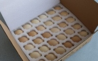 珍珠棉蛋托—现在土鸡蛋为什么都流行珍珠棉包装？